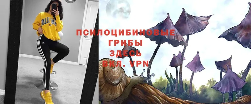 Галлюциногенные грибы Magic Shrooms  Дзержинский 